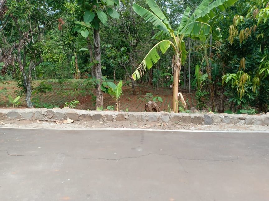 Jual Tanah Datar 1200m² Kerjo Karanganyar - 4