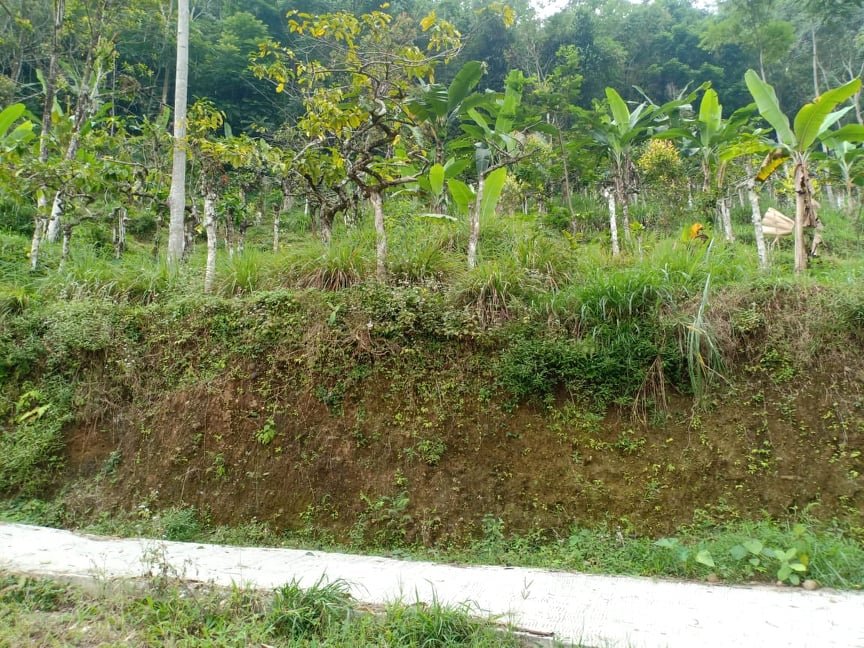HOT PROMO Tanah Kemuning Ngargoyoso Karanganyar - 3