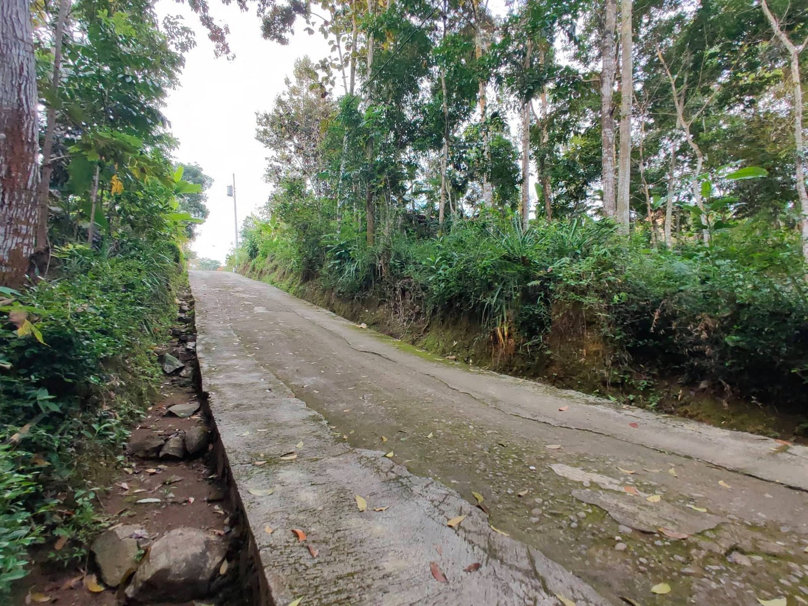 Jual Tanah Timur Pasar Mojogedang Karanganyar - 3