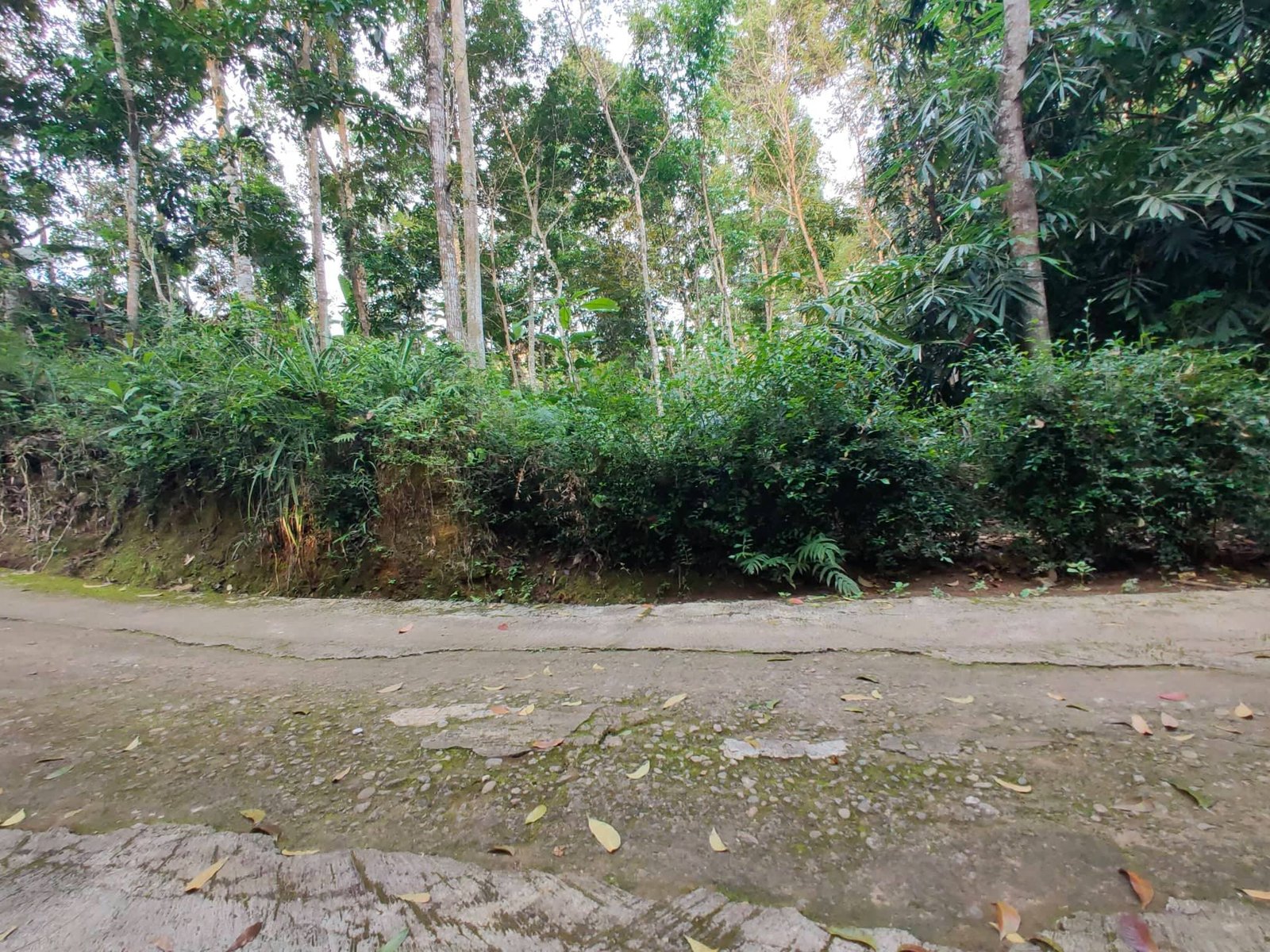 Jual Tanah Timur Pasar Mojogedang Karanganyar - 4