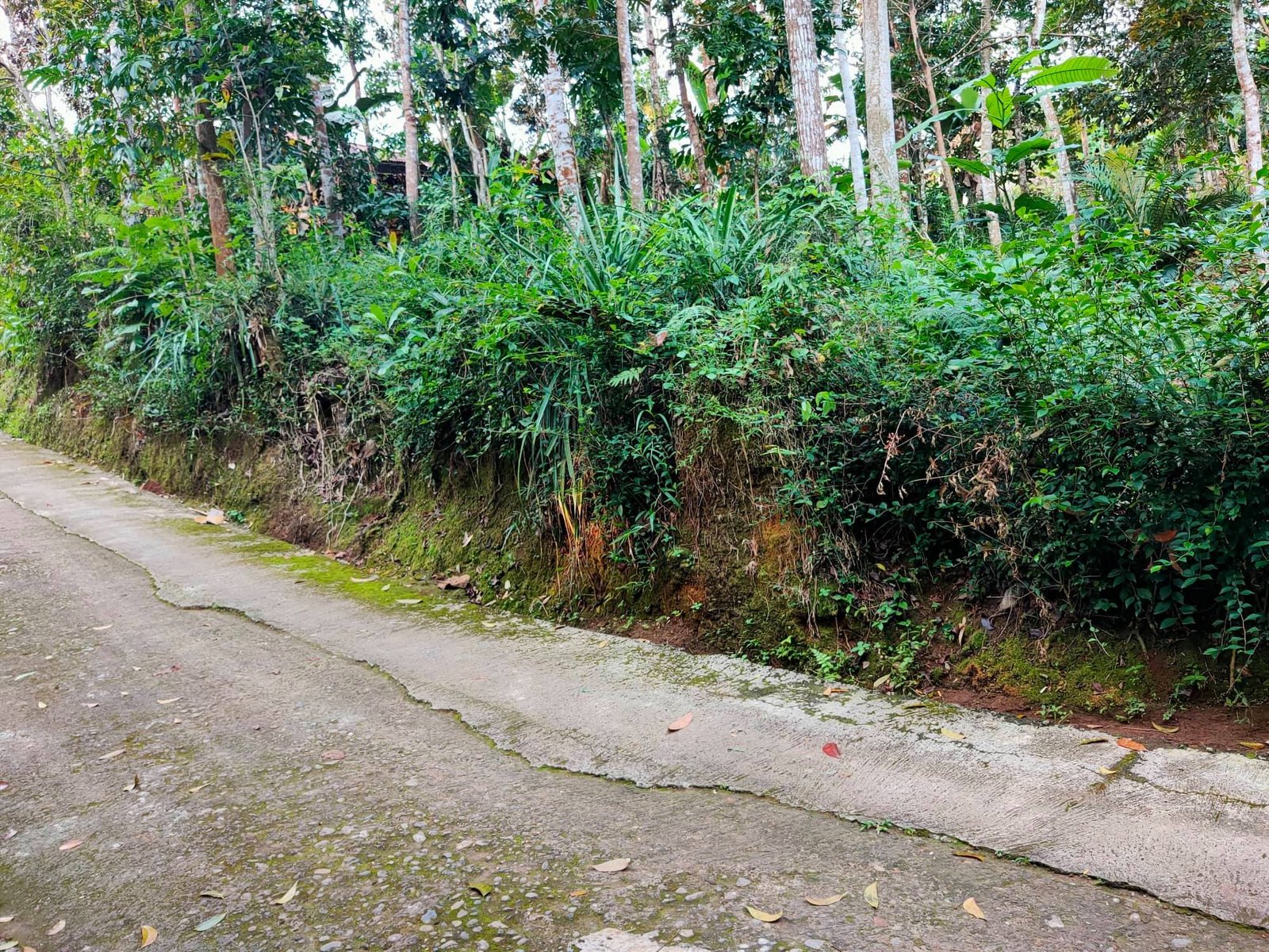 Jual Tanah Timur Pasar Mojogedang Karanganyar - 2