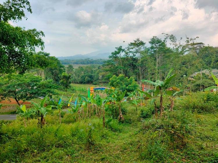 Jual Tanah Kebun Alpukat Jl Raya Mojogedang Karangpandan Karanganyar - 3