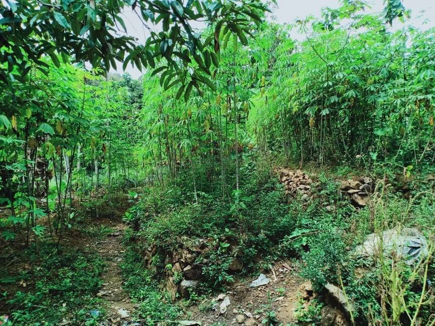 Jual Tanah Cocok untuk Villa Karangpandan Karanganyar - 3