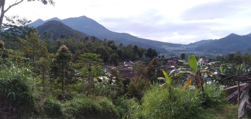 Jual Tanah Cocok untuk Villa Tawangmangu Karanganyar - 2