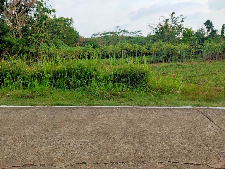 Jual Tanah DATAR 3000m² Mojogedang Karanganyar - 2