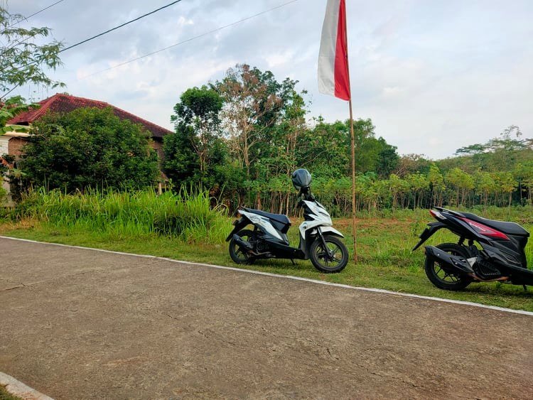 Jual Tanah DATAR 3000m² Mojogedang Karanganyar - 3