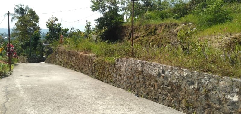Jual Tanah 4000m² Karangpandan Karanganyar - 2