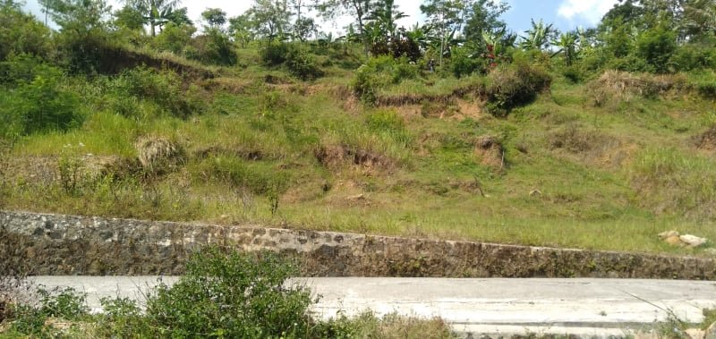Jual Tanah 4000m² Karangpandan Karanganyar - 3
