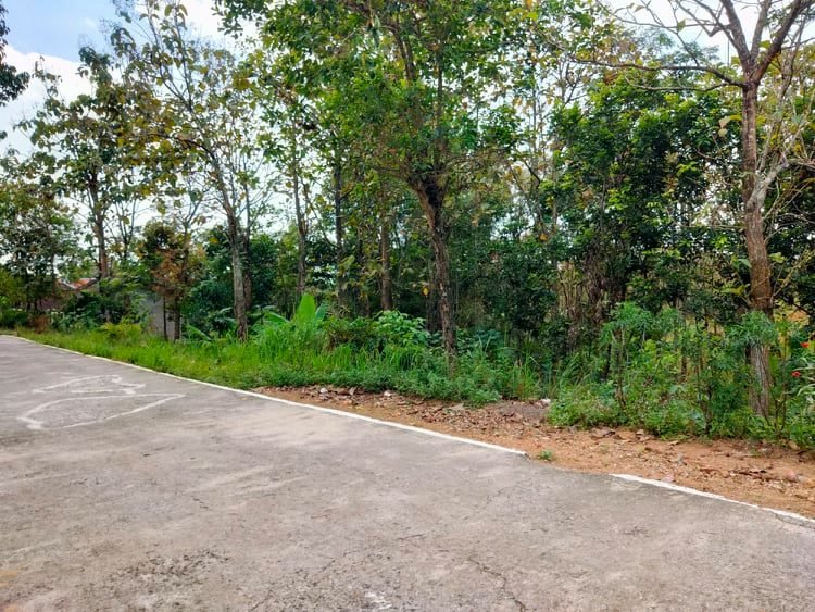Jual Tanah Cocok untuk Rumah Tinggal Kerjo Karanganyar - 3