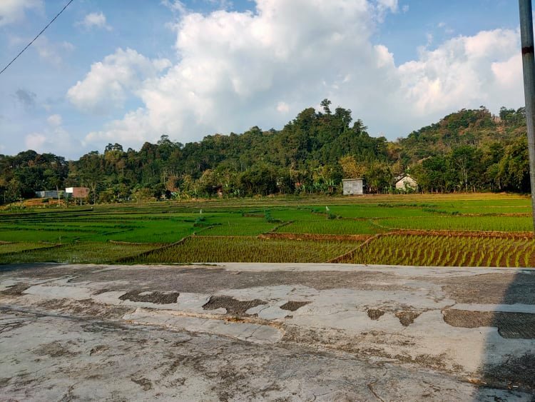 Jual Tanah View Sawah Karangpandan Karanganyar - 5