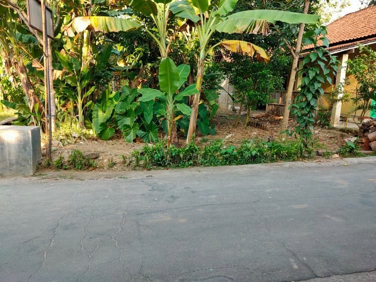 Jual Tanah View Sawah Karangpandan Karanganyar - 2