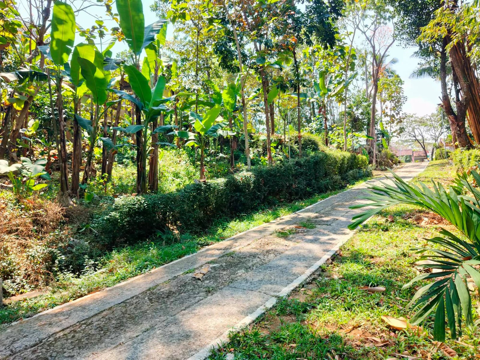 Jual Tanah View Sawah Kerjo Karanganyar - 6