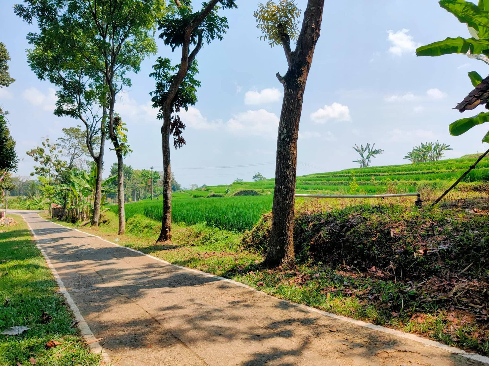 Jual Tanah View Sawah Kerjo Karanganyar - 3