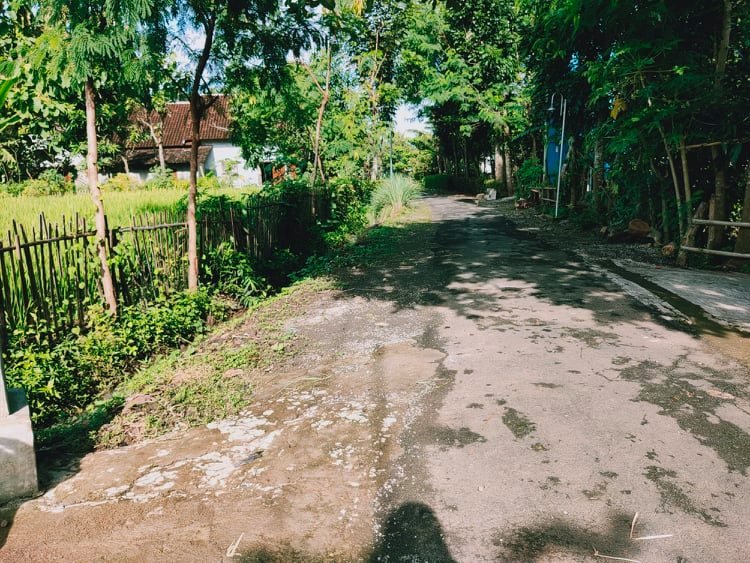 Jual Tanah Sawah Desa Munggur Mojogedang Karanganyar - 4