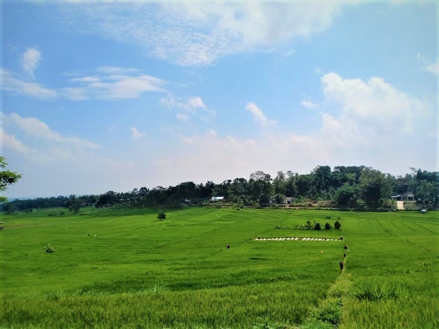 Jual Tanah Strategis dibangun Villa Karangpandan Karanganyar - 7