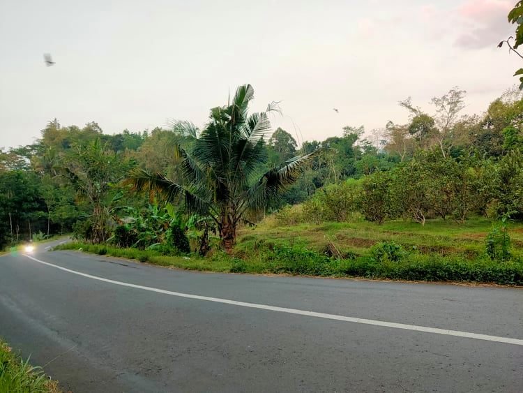 Jual Tanah Tepi Jl Raya Karangpandan Karanganyar - 2