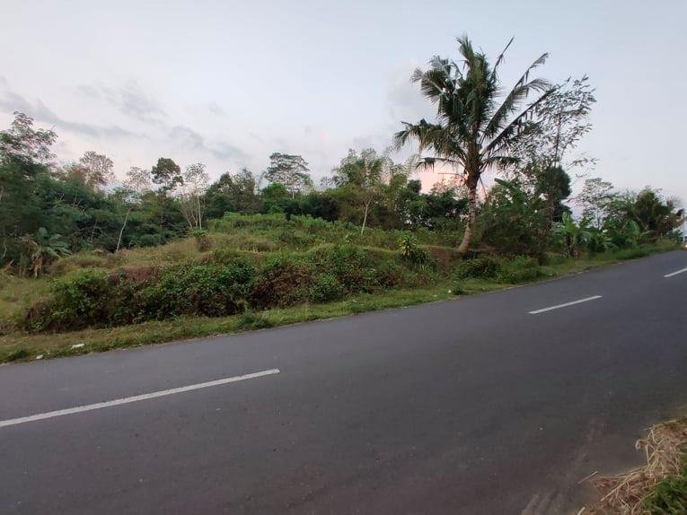 Jual Tanah Tepi Jl Raya Karangpandan Karanganyar - 6