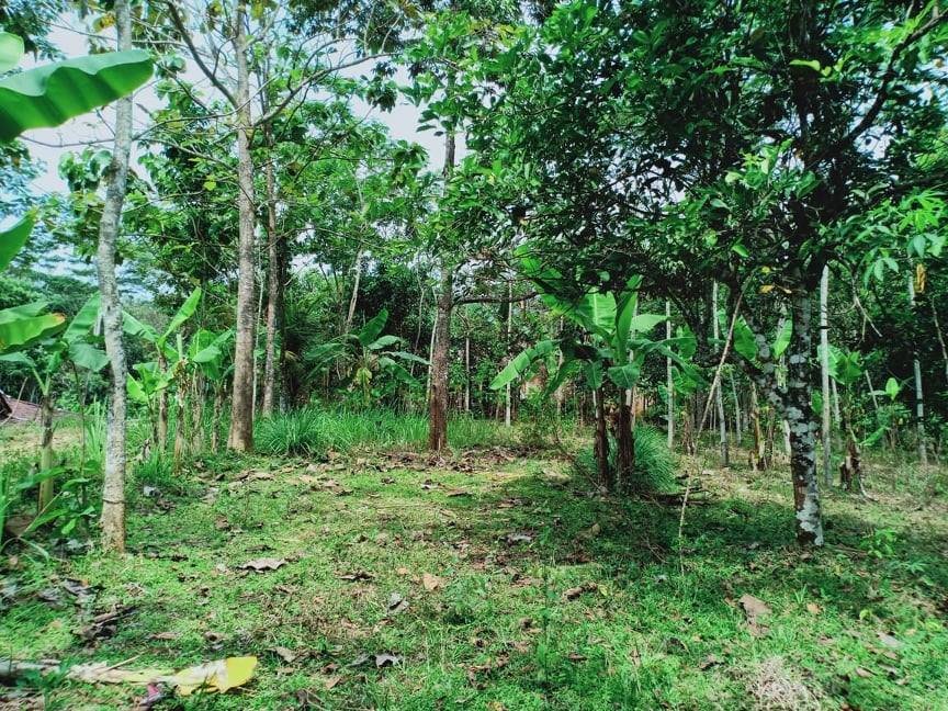 Jual Tanah Datar 1000m² Mojogedang Karanganyar - 4
