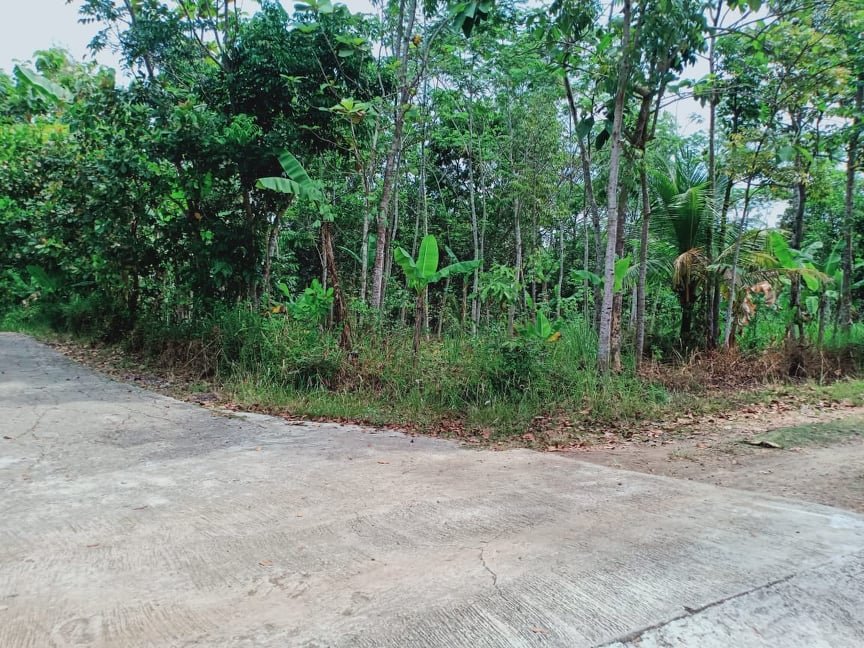 Jual Tanah Datar 1000m² Mojogedang Karanganyar - 2