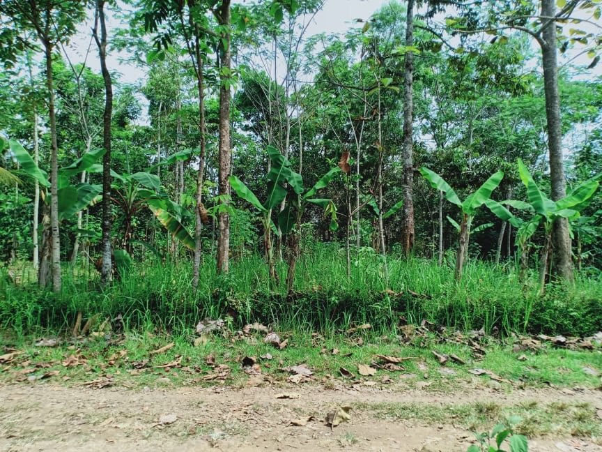Jual Tanah Datar 1000m² Mojogedang Karanganyar - 3