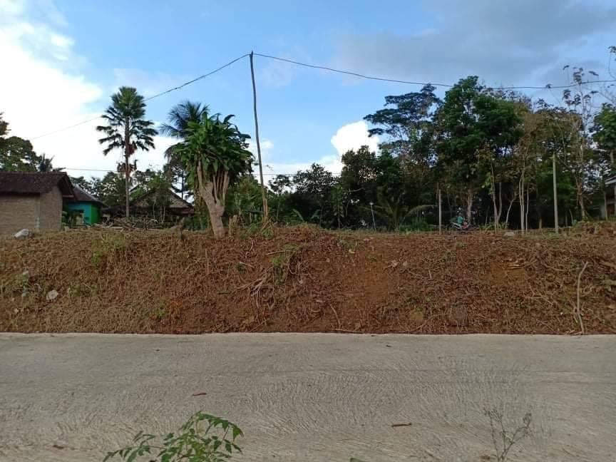 Jual Tanah View Sawah Karangpandan Karanganyar - 2