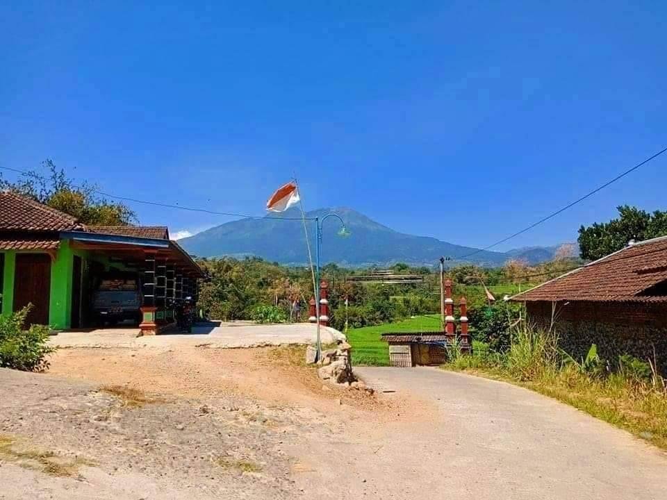 Jual Tanah View Sawah Karangpandan Karanganyar - 5