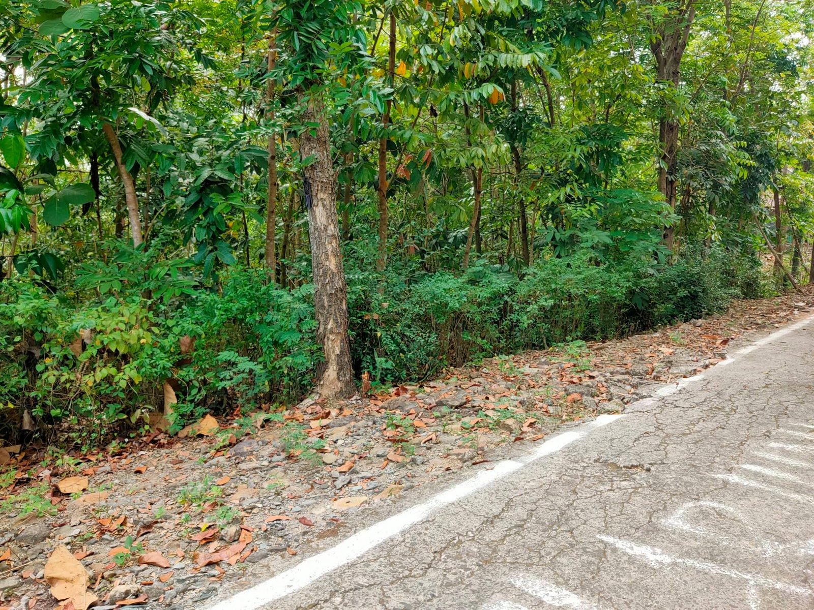 Jual Tanah Siap dibangun Timur pasar jambangan - 4