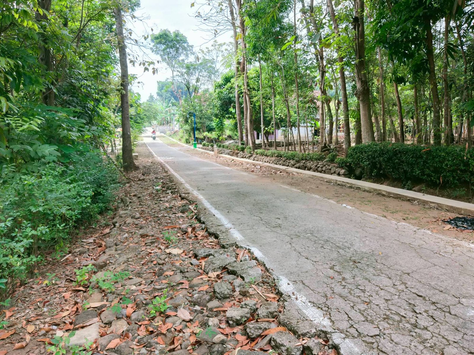 Jual Tanah Siap dibangun Timur pasar jambangan - 5