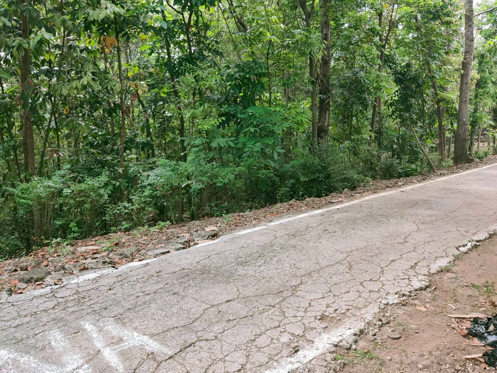Jual Tanah Siap dibangun Timur pasar jambangan - 2