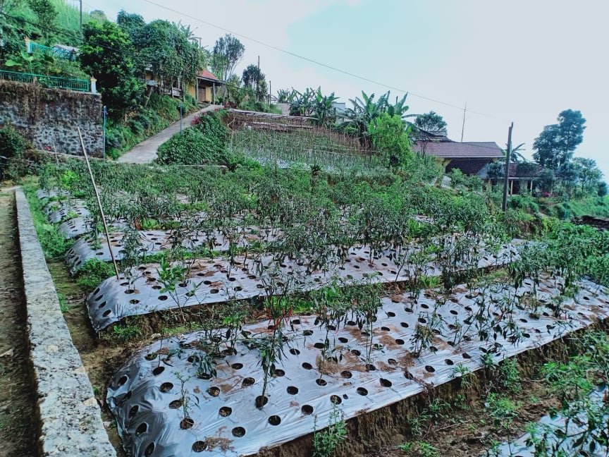 Jual Tanah 800m² Strategis Cocok Untuk Villa Kemuning Ngargoyoso Karanganyar - 3