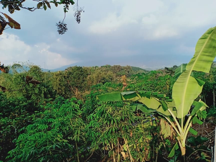 Jual Tanah Cocok Untuk Villa Ngargoyoso Karanganyar - 4