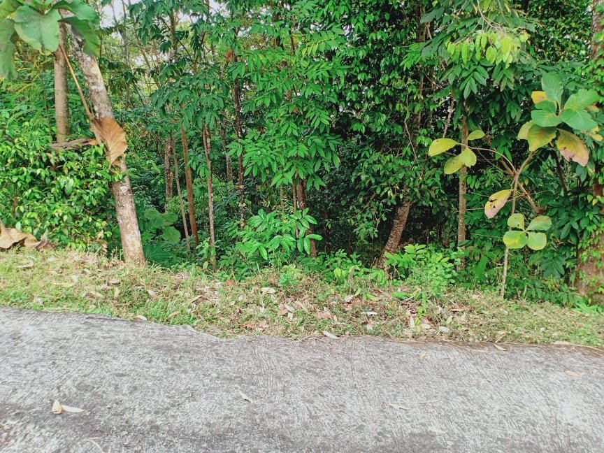 Jual Tanah Tegal Matesih Karanganyar - 2