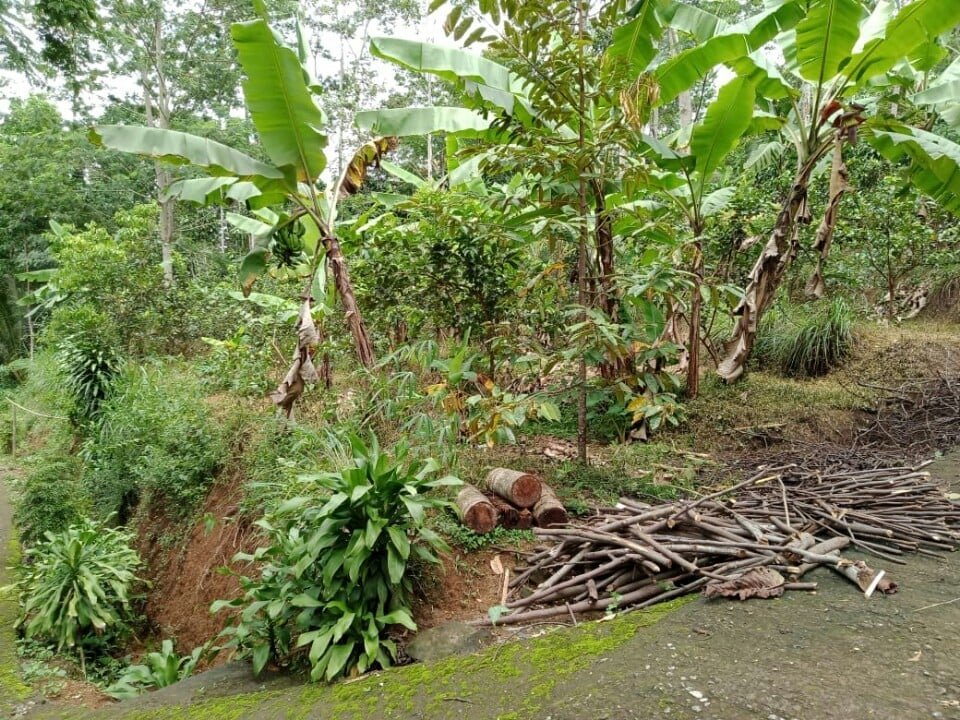 Jual Tanah Kebun Jambu Kota Wisata Ngargoyoso Karanganyar - 7