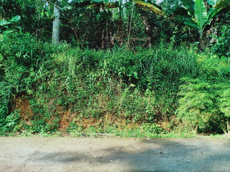 Jual Tanah Kebun Jambu Kota Wisata Ngargoyoso Karanganyar - 5