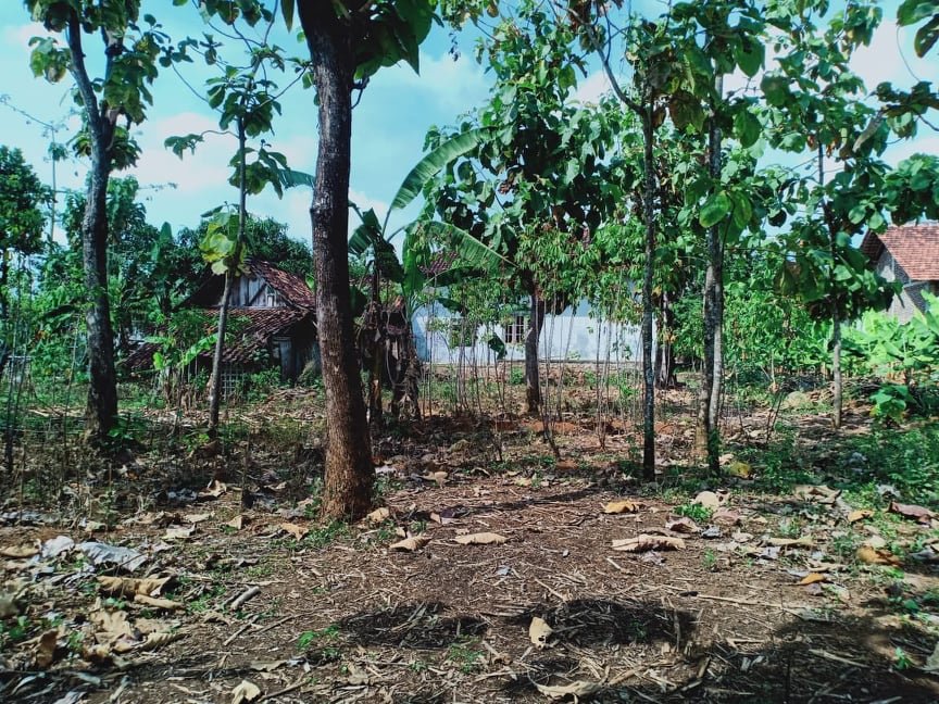 Jual Rumah Siap Huni Kerjo Karanganyar - 5