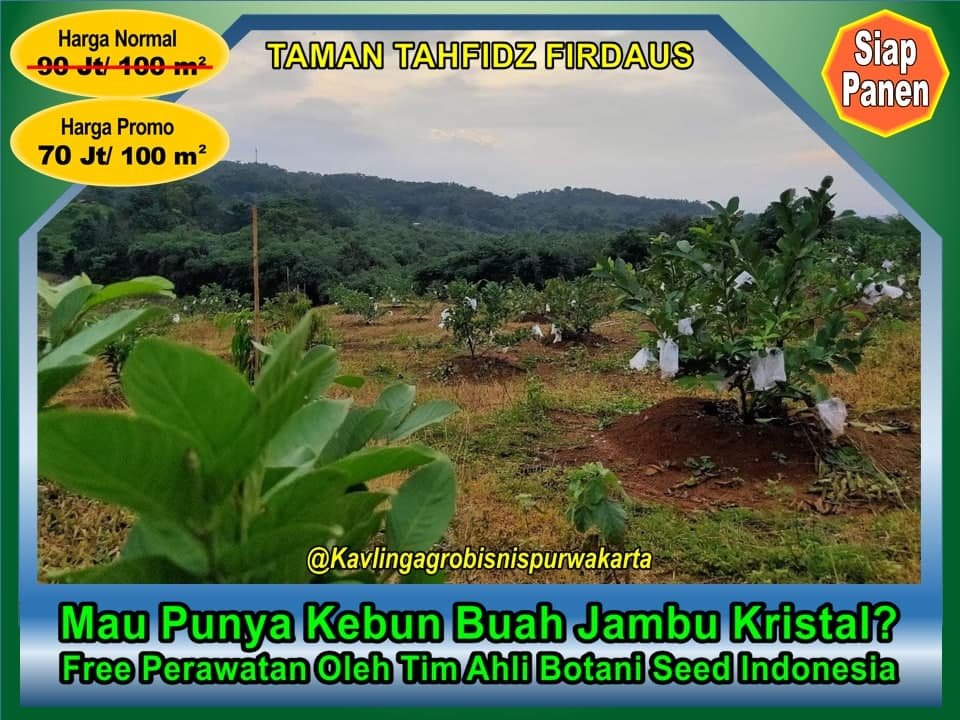 KAVLING DEKAT TOL, HARGA GAK BIKIN JEBOL, NEGO HARGA BISA SAMBIL NGOBROL - 1