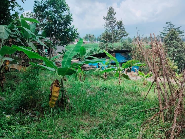 Jual Tanah Dekat Pondok Isy Karima Karangpandan Karanganyar - 2