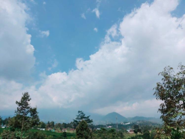 Jual Tanah Dekat Pondok Isy Karima Karangpandan Karanganyar - 4