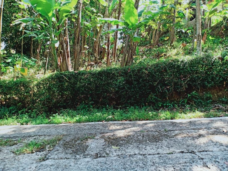 Jual Tanah Cocok untuk Villa Jl Kerjo Ngargoyoso Karanganyar - 2