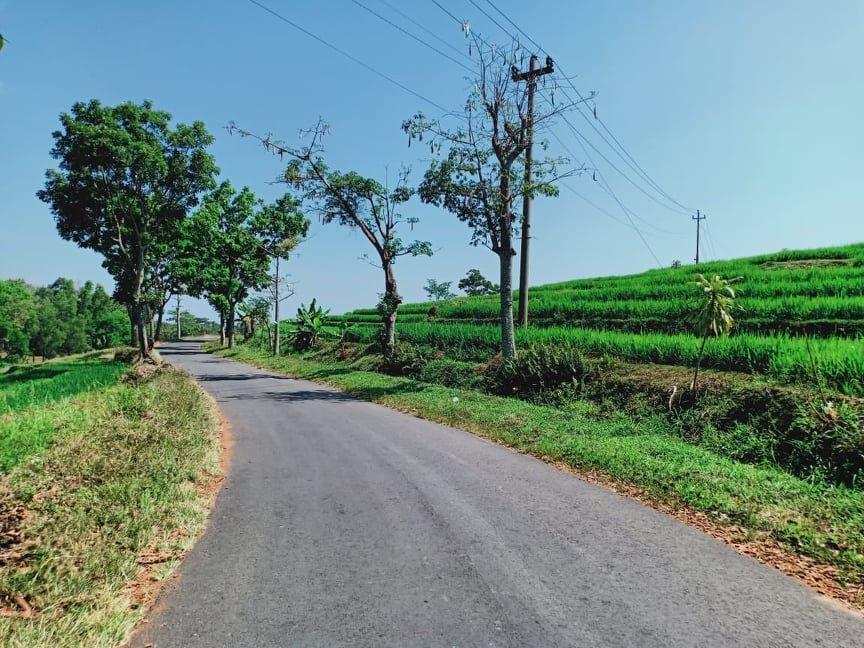 Jual Tanah Cocok untuk Villa Jl Kerjo Ngargoyoso Karanganyar - 6