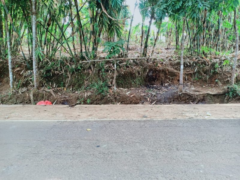 Jual Tanah Strategis Buka Usaha Tepi Jl Raya Mojogedang Karangpandan Karanganyar - 2