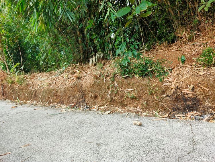 Jual Tanah 700m² Mojogedang Karanganyar - 3