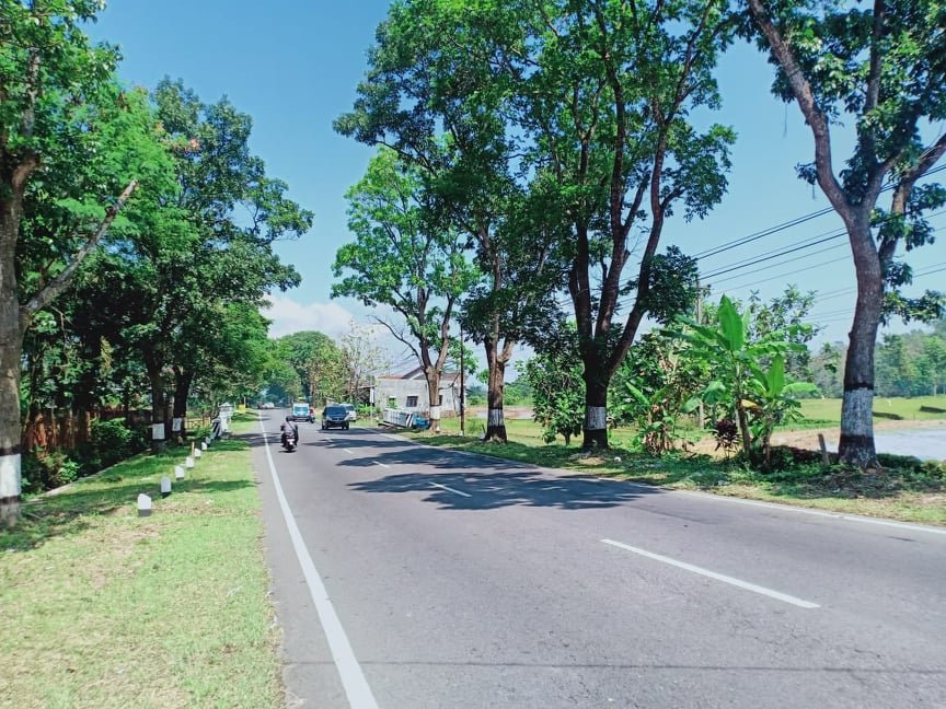 Jual Tanah Bonus Rumah Tepi Jl Raya Solo-Tawangmangu Karanganyar - 3