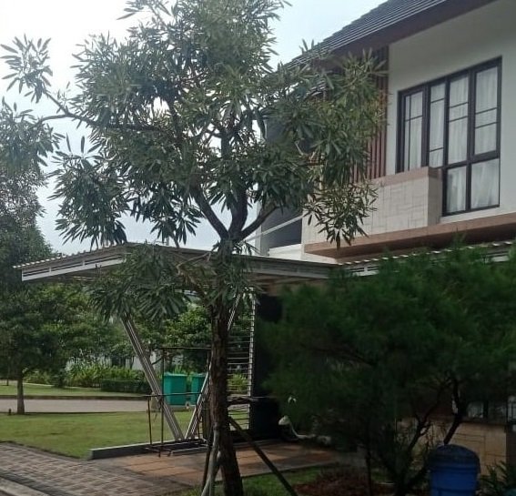 Dijual Rumah Cluster Dekat AEON MALL - Lokasi Strategis, Bebas Banjir - 4