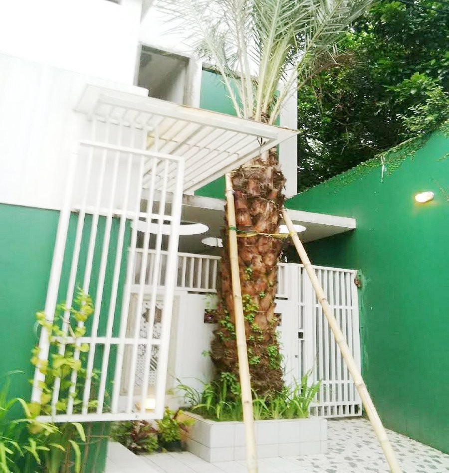 Kosan Putri, Asri, Kekeluargaan, Aman & Tenang di CILANDAK KKO - 9