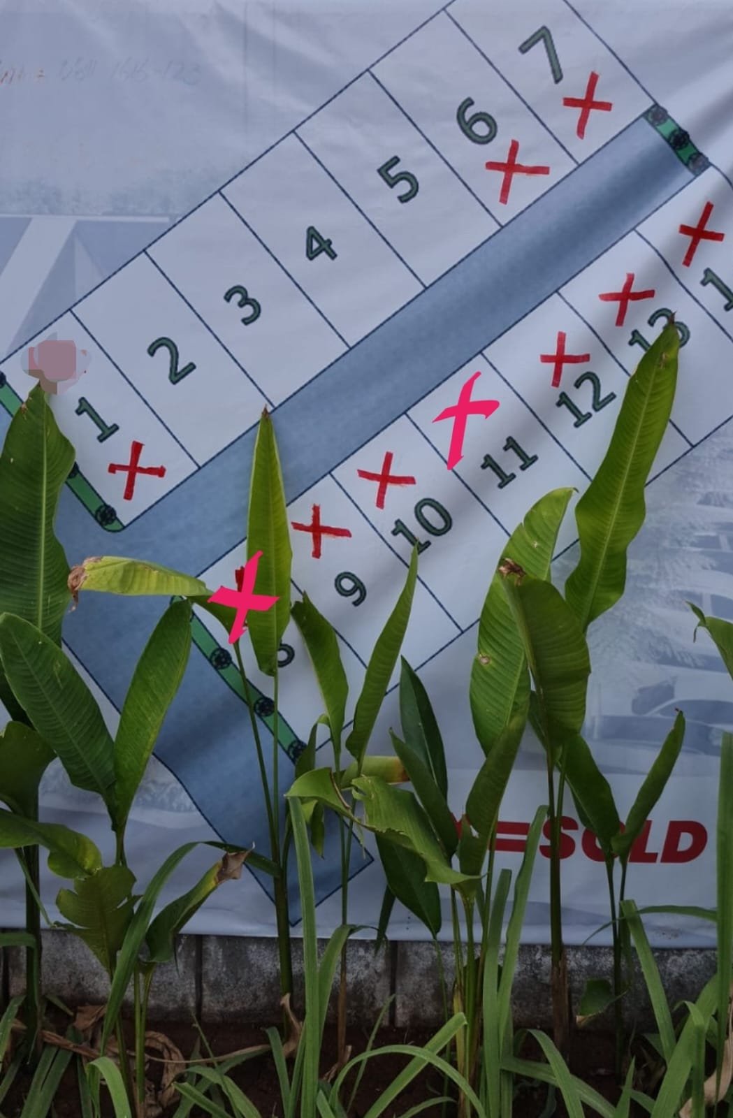 Rumah 2 Lantai Lokasi Strategis di Beji Depok Dekat Kampus UI dan Stasiun Depok Baru - 9