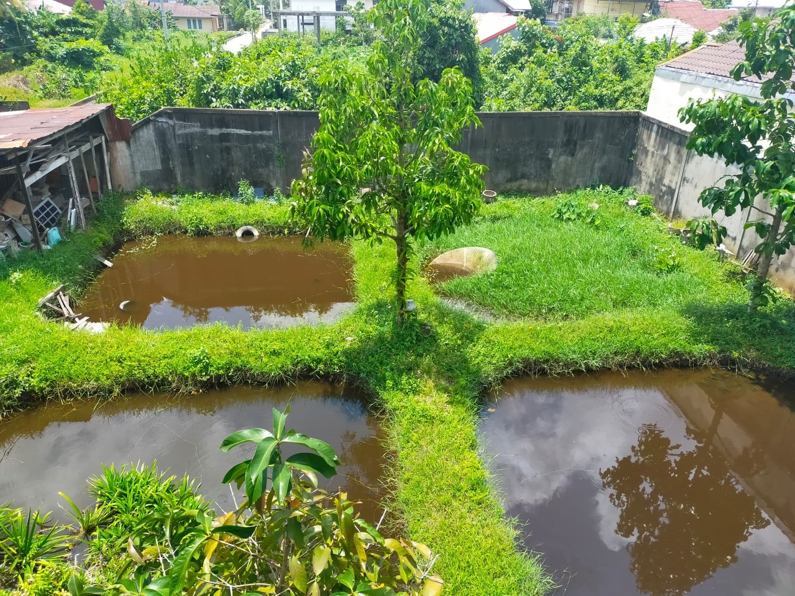 Rumah Parit Haji Husin 1, Gg. Sejahtera, Pontianak, Kalimantan Barat - 8