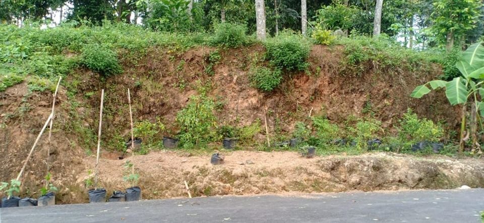 Dijual Tanah DATAR Dekat Pasar Mojogedang Karanganyar - 2