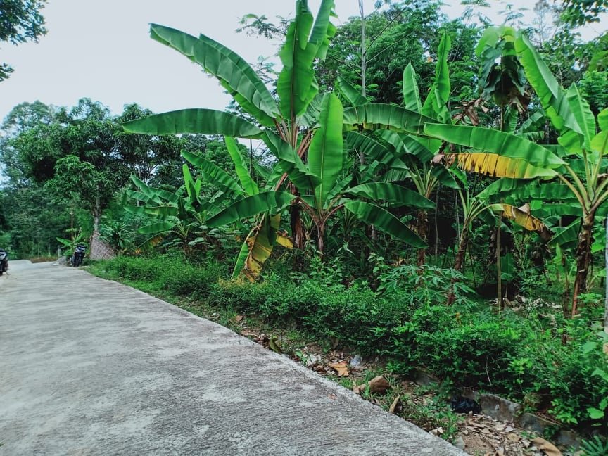 Jual Tanah Dekat Wisata Kebun Durian Mojogedang Karanganyar - 3