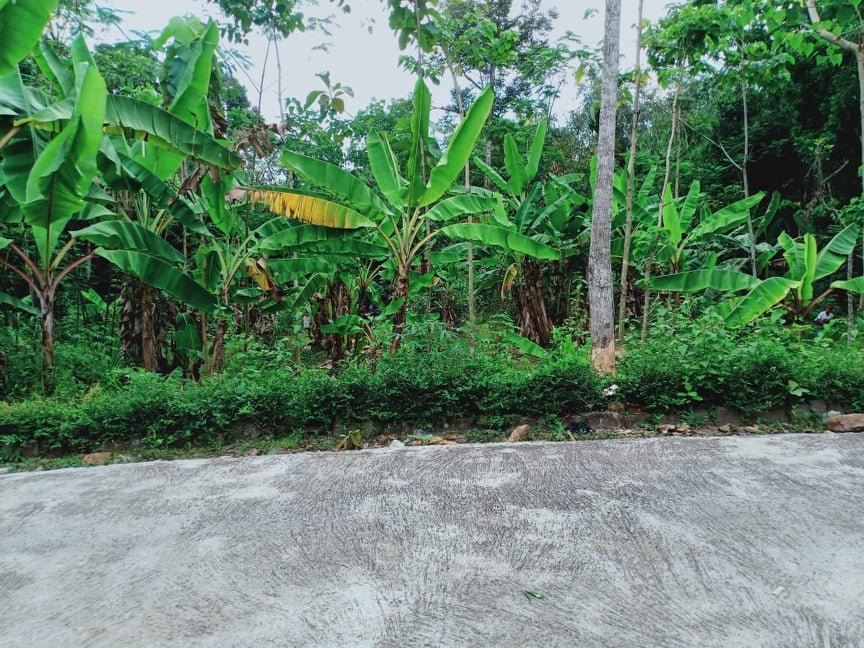 Jual Tanah Dekat Wisata Kebun Durian Mojogedang Karanganyar - 2